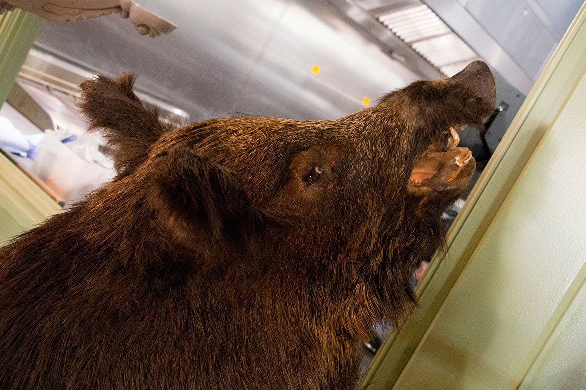 Perhaps it should have been called the Boar's Head