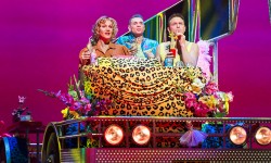 Review: Priscilla Queen Of The Desert – The Musical, Grand Opera House