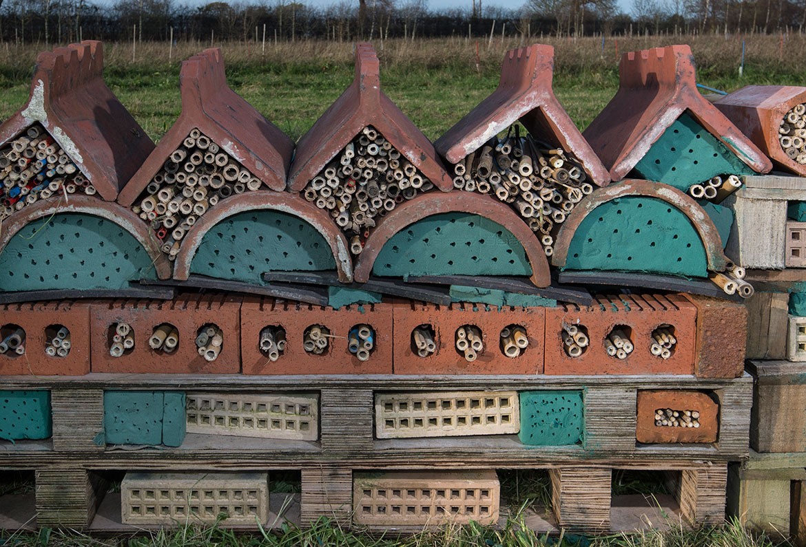Not yet reviewed on TripAdvisor, but give it time… the bee hotel