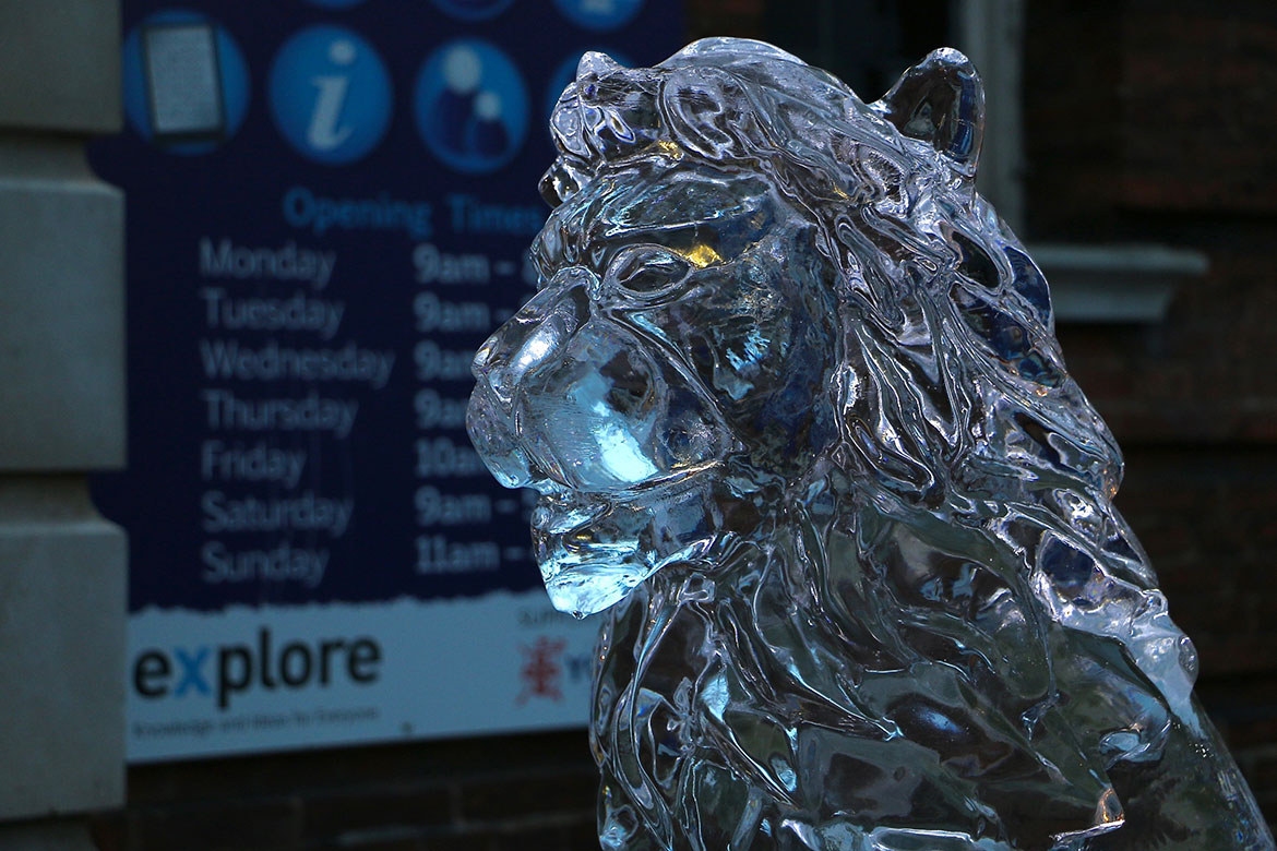 York Explore's lion