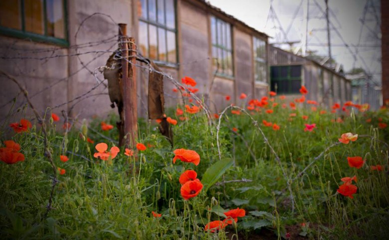 Immersive… Eden Camp. Photograph: Eden Camp on Facebook