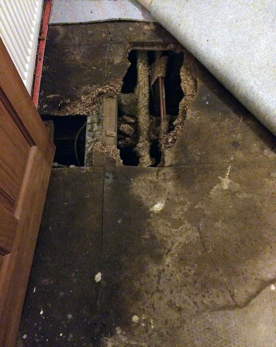 Liz's picture shows the scale of the damage