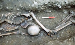 Extraordinary secret of York’s Roman ‘gladiator’ skeletons revealed
