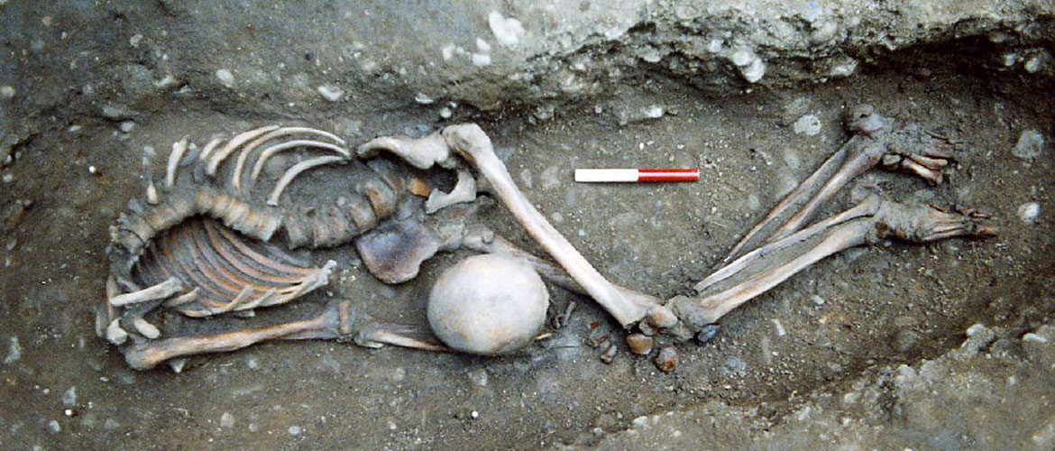 Extraordinary secret of York’s Roman ‘gladiator’ skeletons revealed