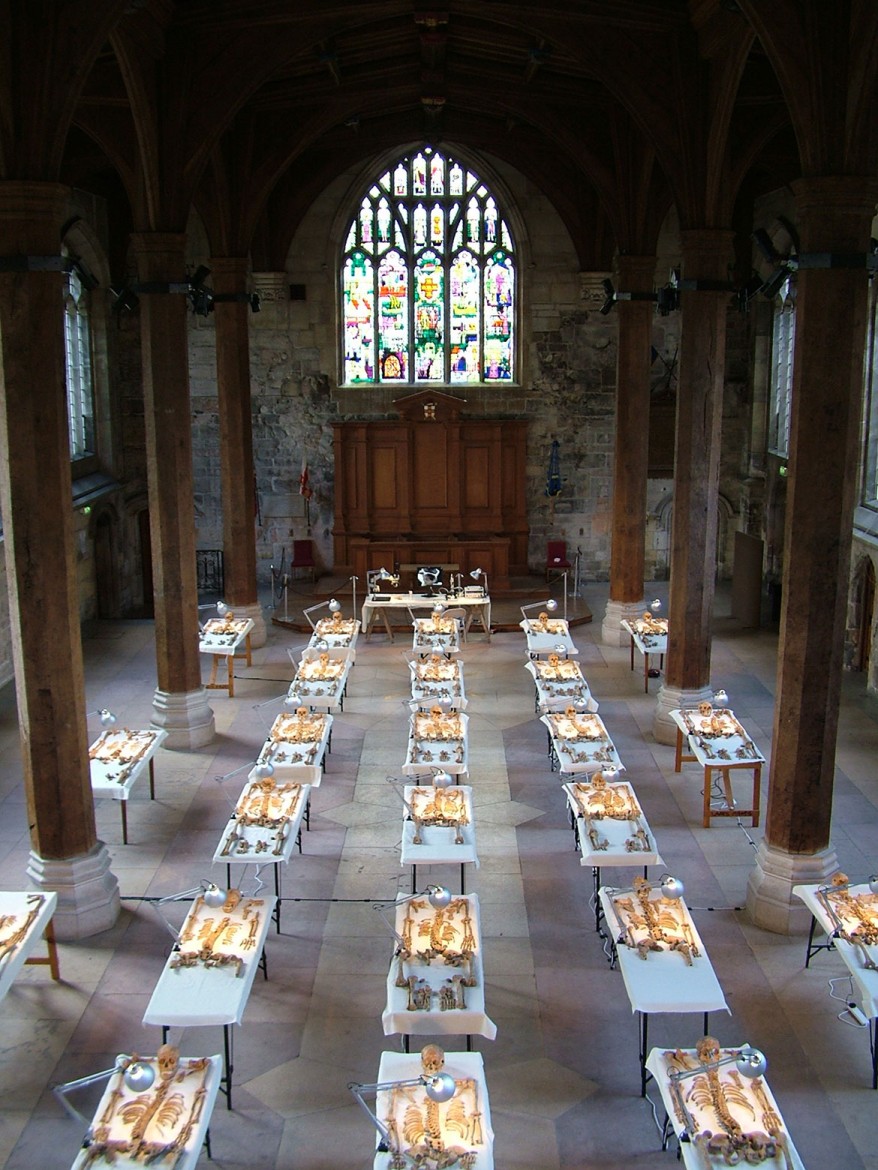 The skeletons laid out in York's Guildhall