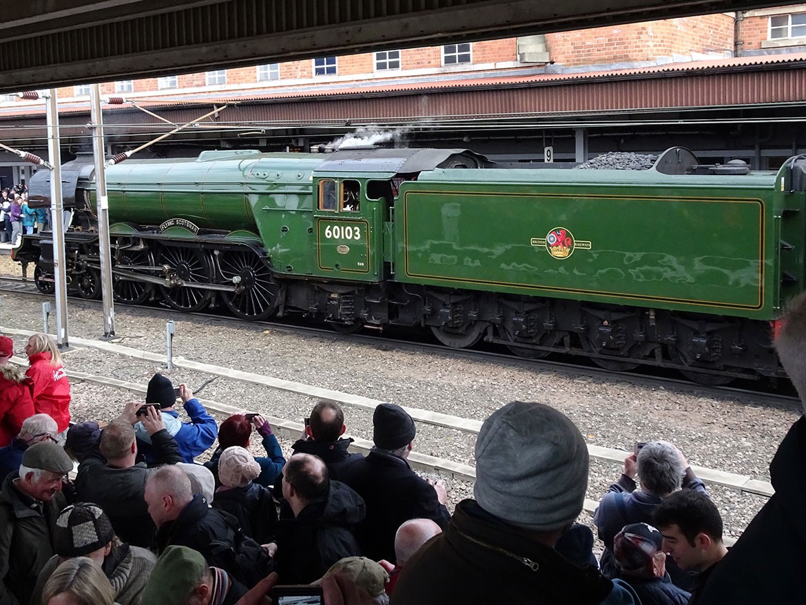 Excited crowds greet the giant star at York Station. Photograph: Richard McDougall