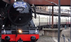 Back home! Videos and pictures of Flying Scotsman’s glorious return to York