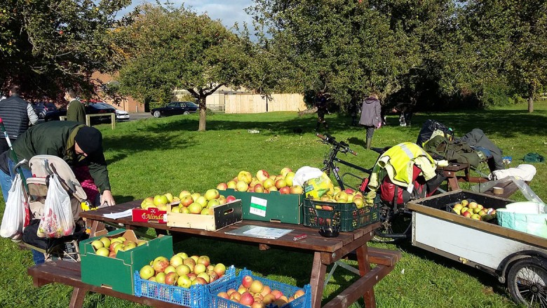 Some of the Edible York produce. Photograph: Edible York on Facebook