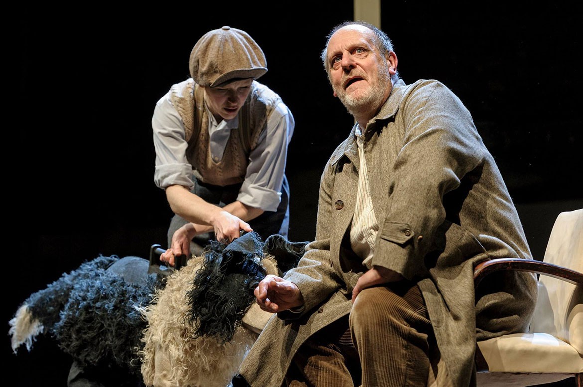 One man and his dog. And his evacuee