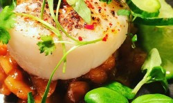 York restaurant wins stunningly good national review, sparks debate about city’s dining scene