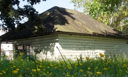 New café to open in Museum Gardens – plans to serve up perfect summer picnics