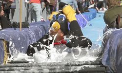 Splashdown! Spectacular 100m-long water slide planned for York this summer