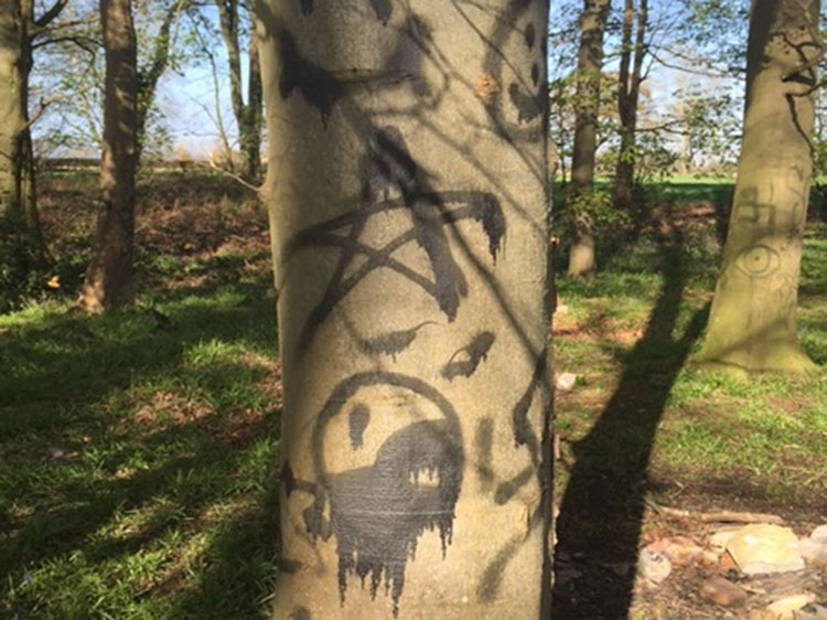 Several trees have been daubed with graffiti