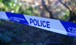 York man arrested after human remains found on farmland