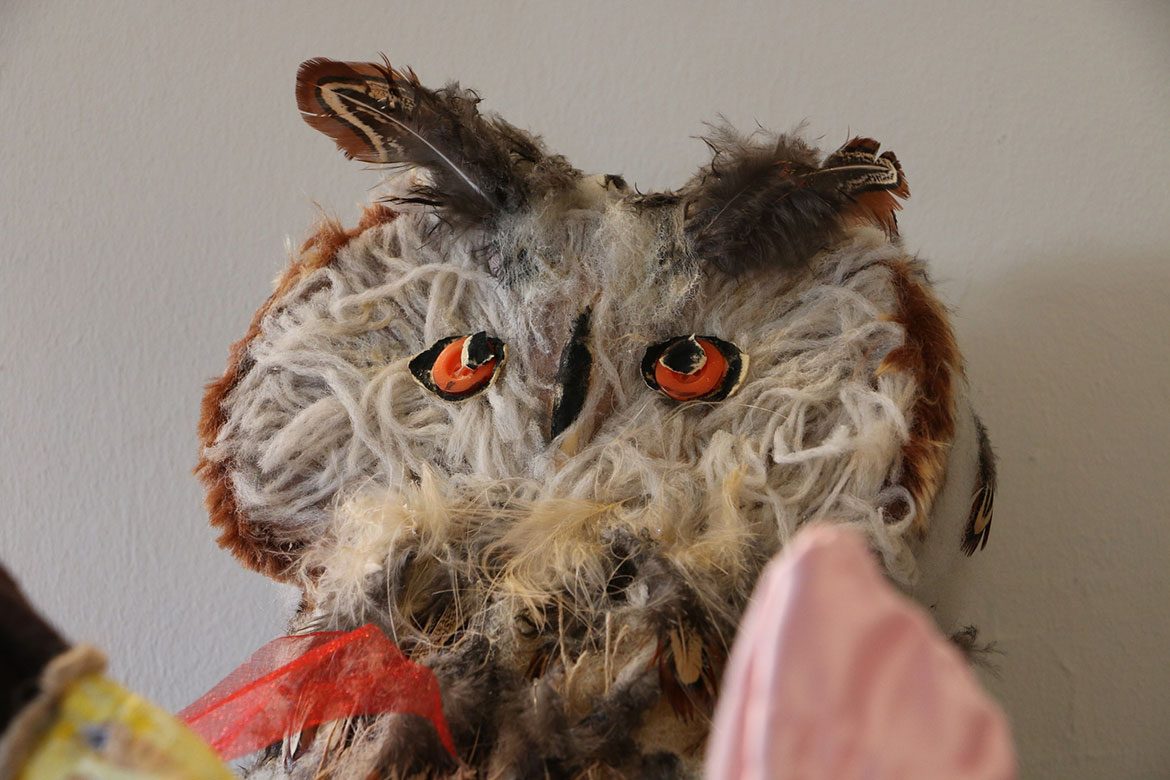 A wise old bird
