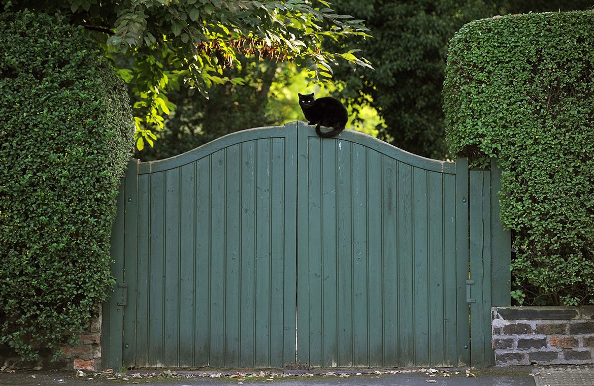 Gatekeeper