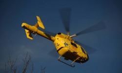 90-year-old man airlifted to hospital after being trampled by cow