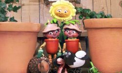 Diary: Residents mistake flowerpot for drowning man – and call the fire brigade