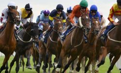 Who’ll win at York Races? Tips for the Dante Meeting 2016, Day 3