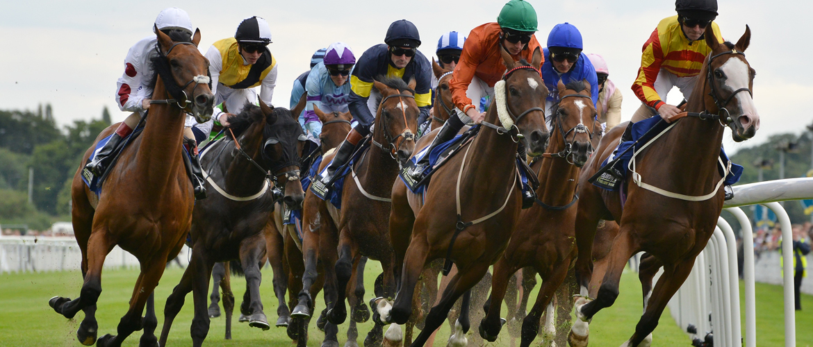 Who’ll win at York Races? Tips for the Dante Meeting 2016, Day 3