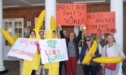 ‘You're bananas Boris!’ Protesters dress up to challenge MP's European claims