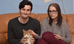 ‘At least six’ cats shot in the eye in York – as pet owner starts campaign to ban air rifles