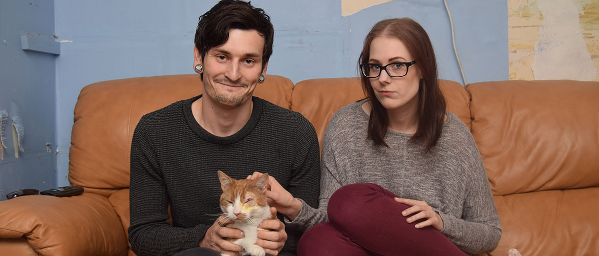 ‘At least six’ cats shot in the eye in York – as pet owner starts campaign to ban air rifles