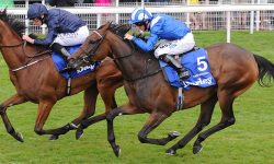 Who’ll win at York Races? Tips for the May Spring Meeting 2016