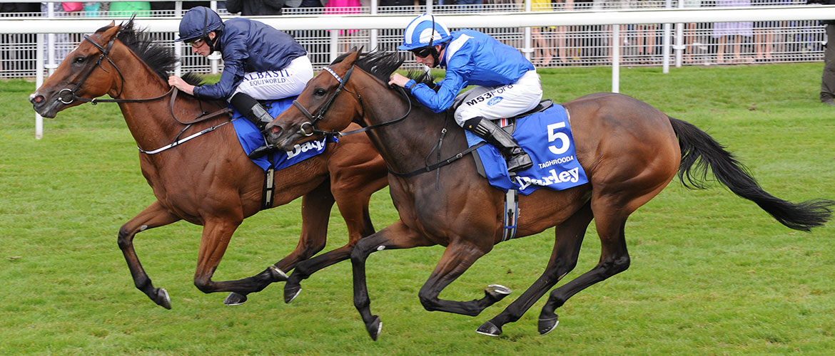 Who’ll win at York Races? Tips for the May Spring Meeting 2016