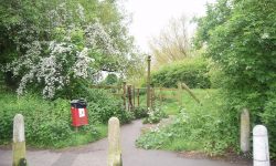 Police close York rape investigation