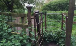 Woman raped on York footpath