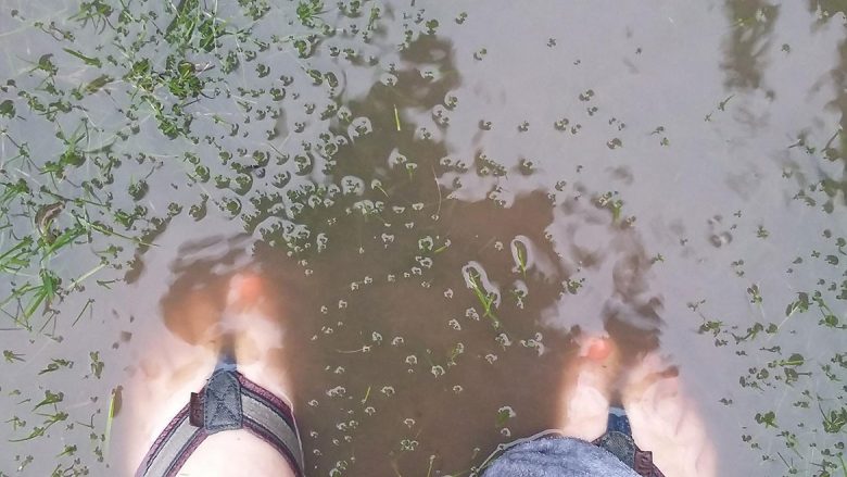Soon it was centimetres deep