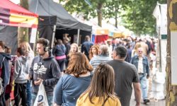 A bite-sized guide to York's Taster Food Festival: June 2016