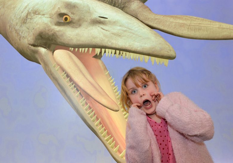 There's fun for all the family at Yorkshire Museum. Just remember to do a head-count on your way out