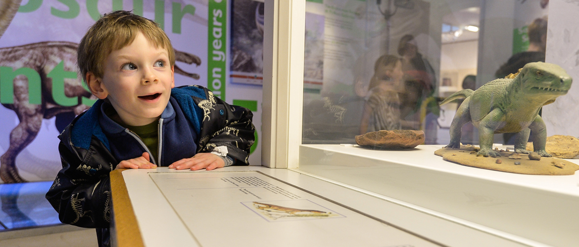 Free fun! Some of York’s favourite attractions are opening for nothing this weekend