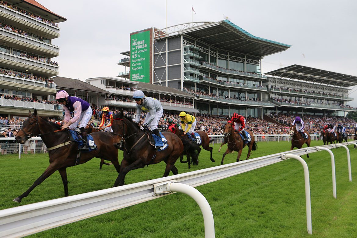 Sporting action on Macmillan Charity Raceday. Photograph: Melissa Connolly