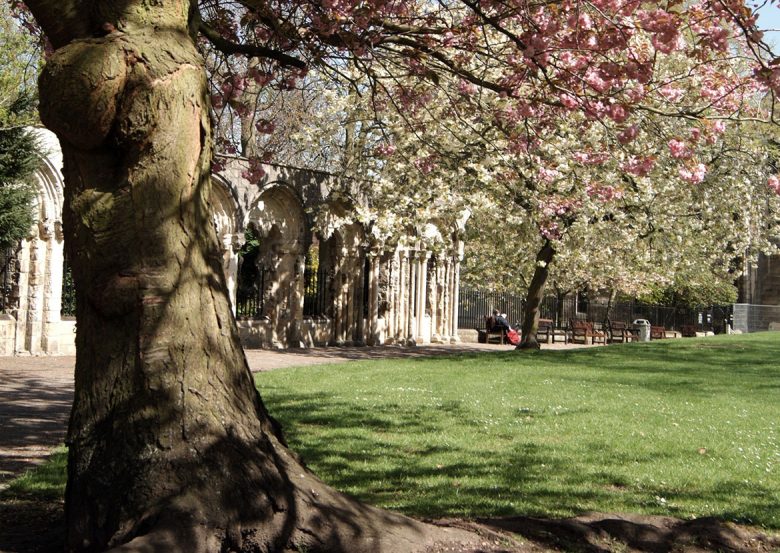 A haven behind the Minster: Deans Park. Photograph: visityork.org / Paul Crossman