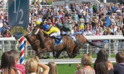 Who’ll win at York Races? Tips for the June meeting 2016, Day 2