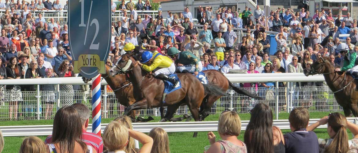 Who’ll win at York Races? Tips for the June meeting 2016, Day 2