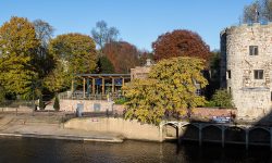 York River Art Market launches:  ‘Soon we’ll be the Paris of the North!’