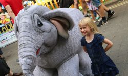 This is why there were elephants in Parliament Street