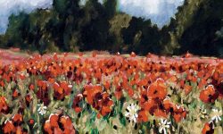 The art to see in York right now – July 2016