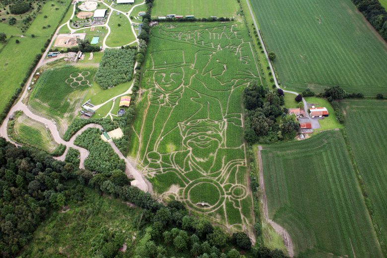 A view of the maze from above