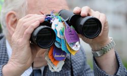 Who’ll win at York Races? Tips for the John Smith’s meeting 2016, Day 2