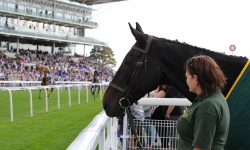 Who’ll win at York Races? Tips for the Music Showcase weekend, Day 2