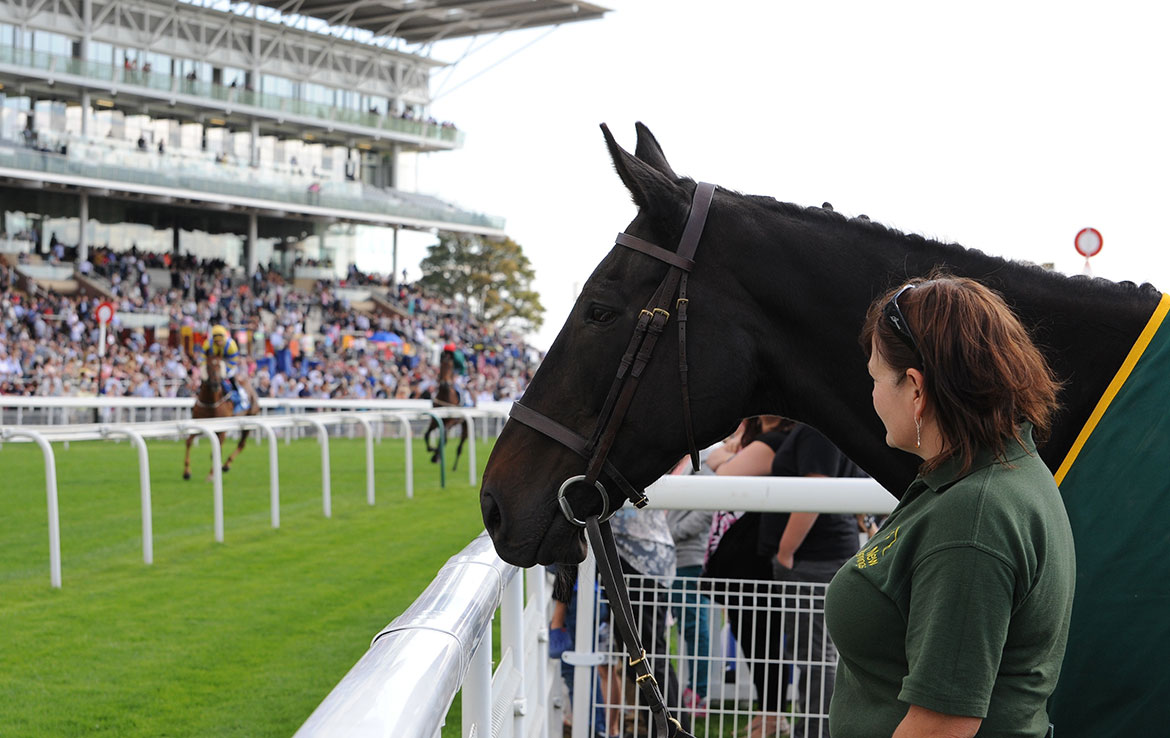 Who’ll win at York Races? Tips for the Music Showcase weekend, Day 2