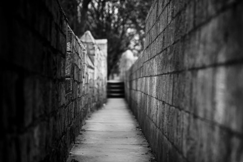 Where will it lead you?