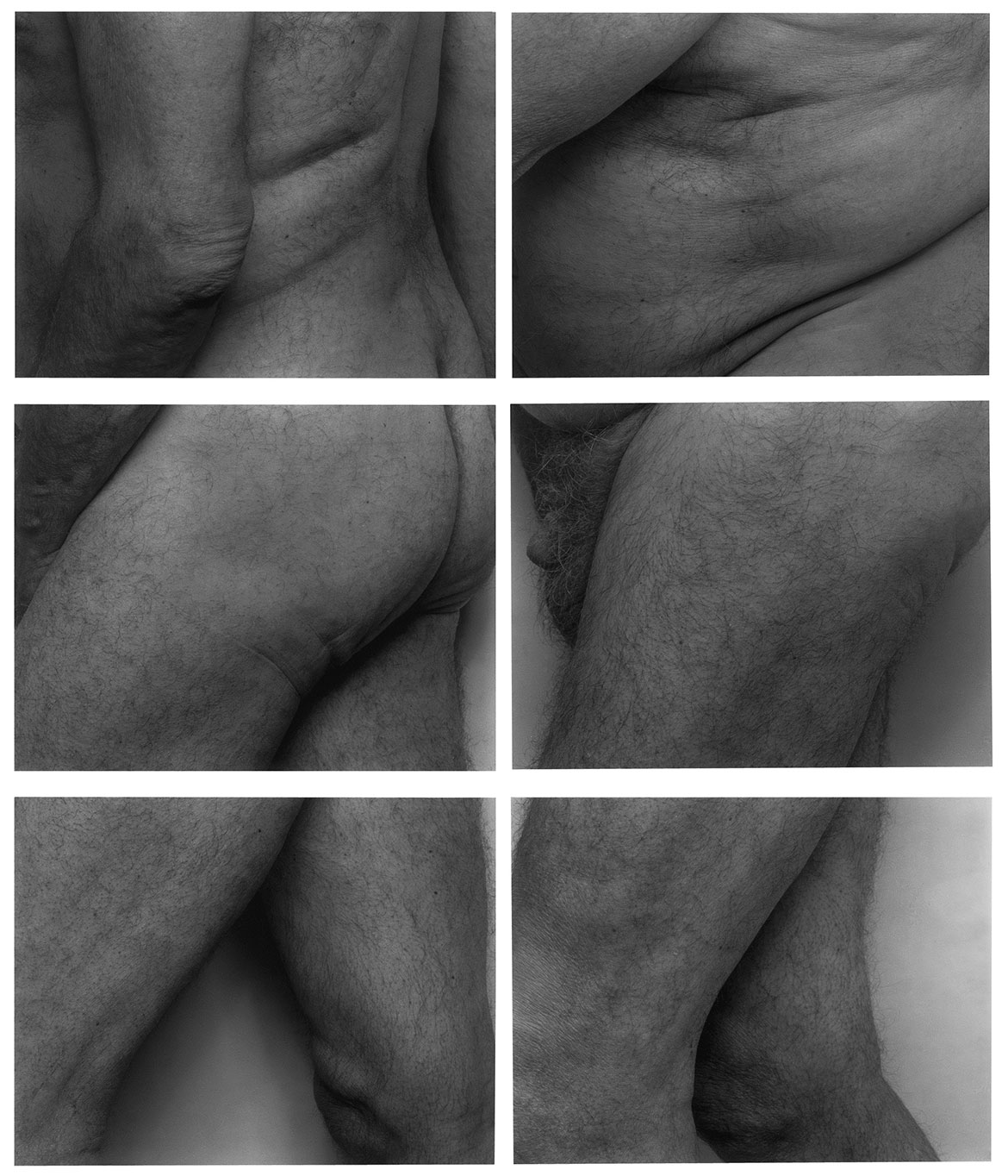 Frieze, No. 6, Two Panels, by John Coplans, 1994, 78 x 68 copy © The John Coplans Trust