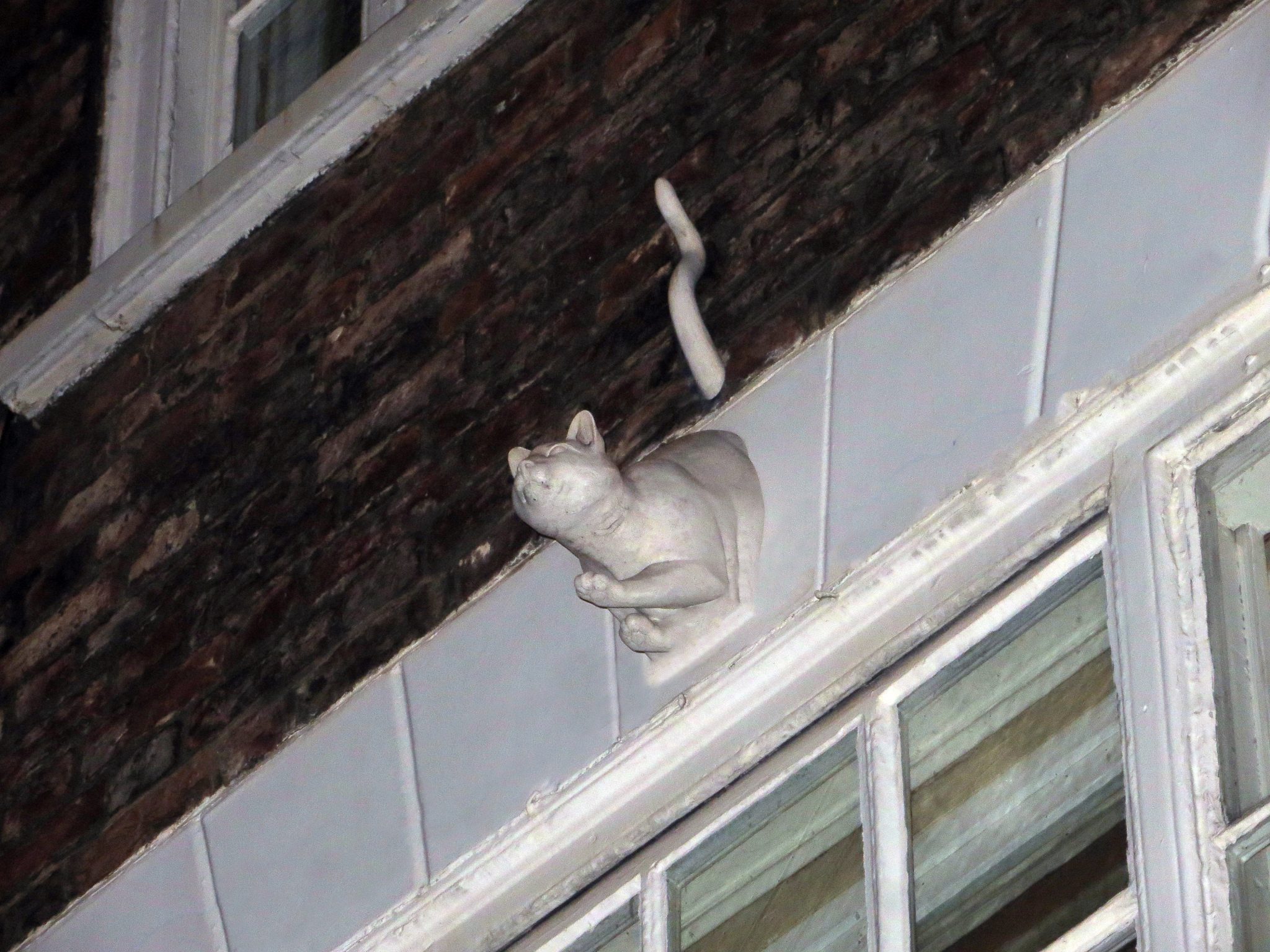Tails of the unexpected: The strange stories of York’s ghost cats