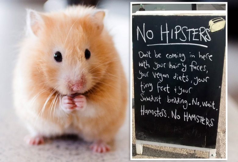 Hamster pic © Good Free Photos 
